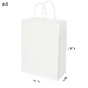 #4 White Paper Twisted Handle Bag 200/ctn